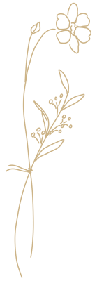 花の挿絵